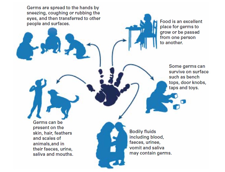 The Spread of Disease (Staying Healthy in Childcare, 2012)